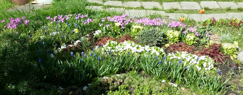 2018-05-12 00.04.02-800x315.jpg