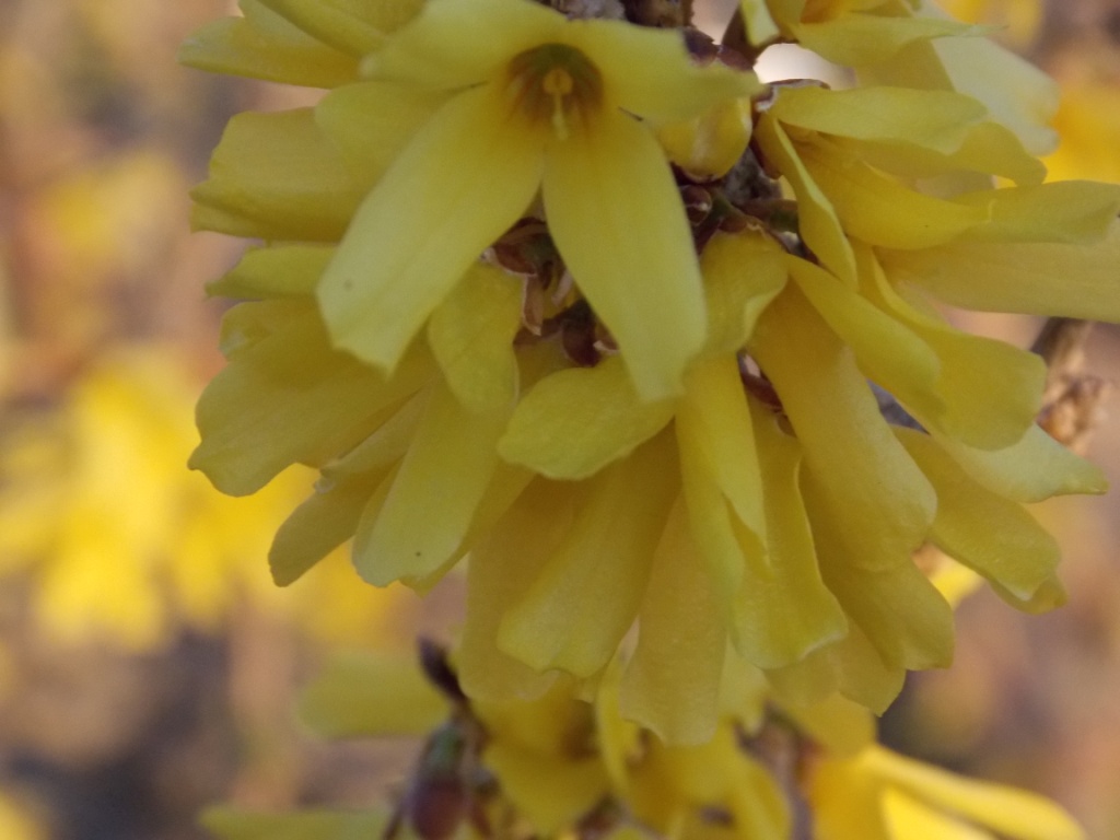 DSCN4691.JPG