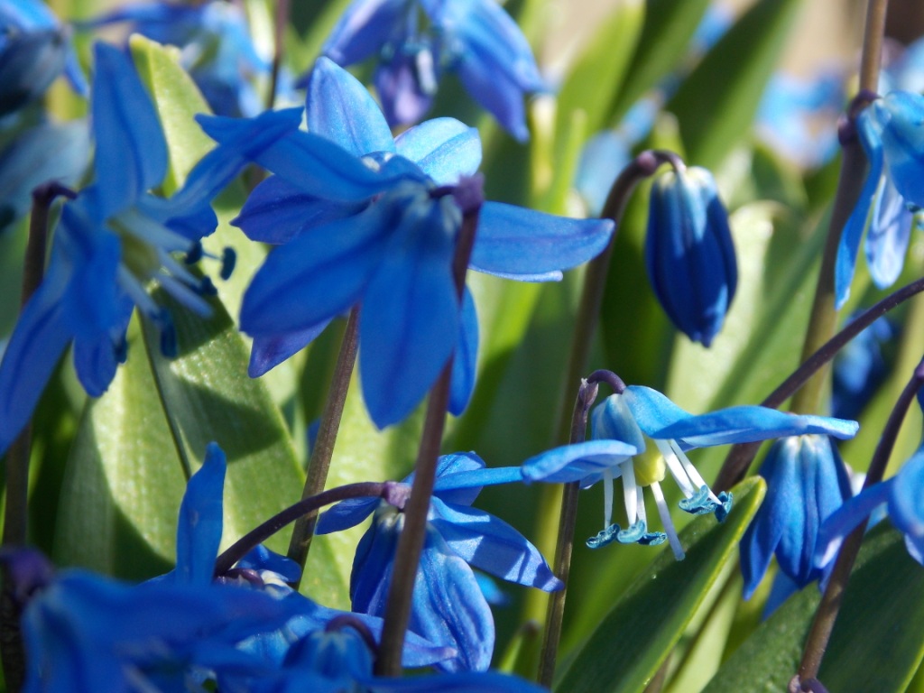 DSCN4689.JPG