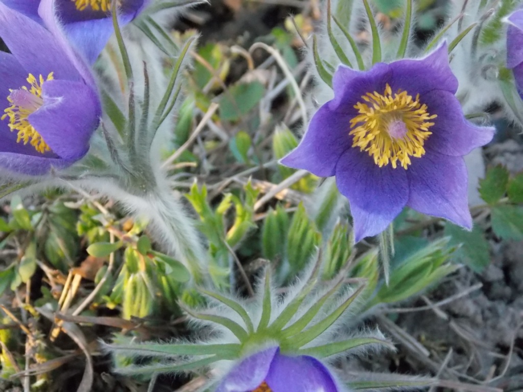 DSCN4692.JPG
