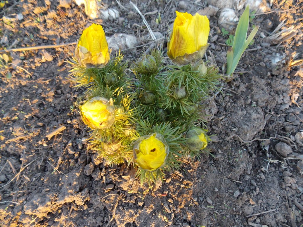 DSCN4695.JPG