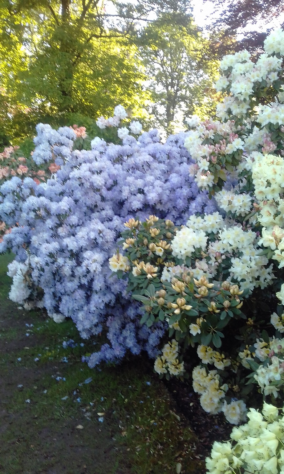 20180504_104819.jpg