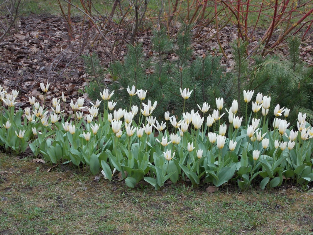 DSCN5455.JPG