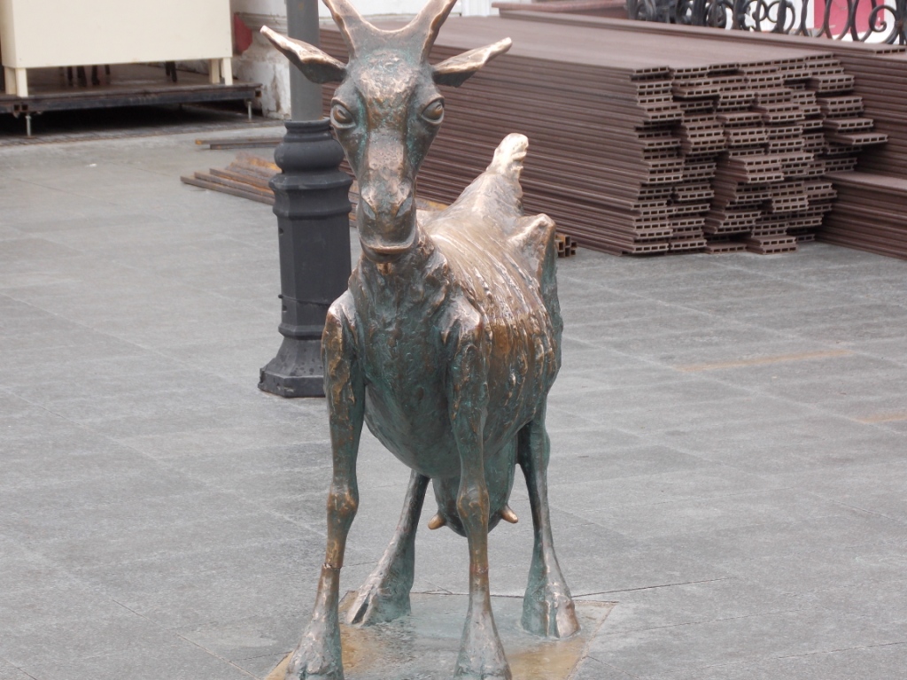 DSCN5381.JPG