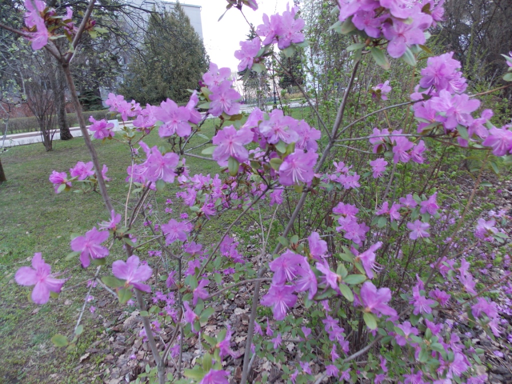 DSCN5522.JPG