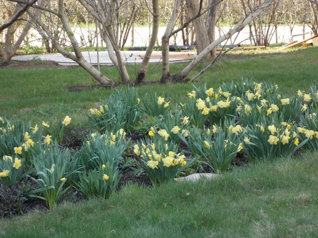 DSCN5324.JPG