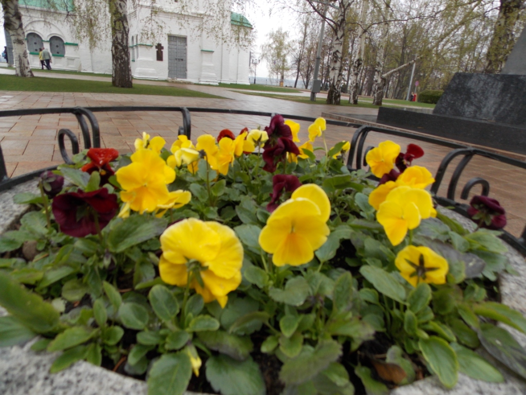 DSCN5436.JPG
