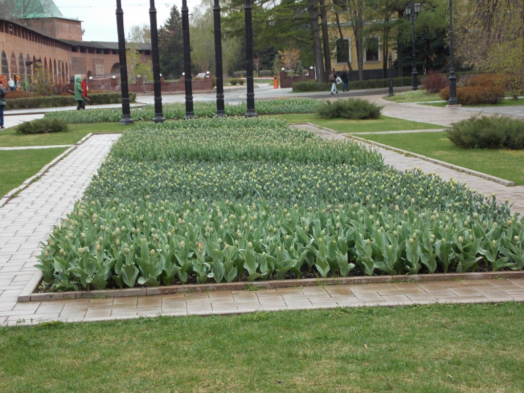 DSCN5446.JPG