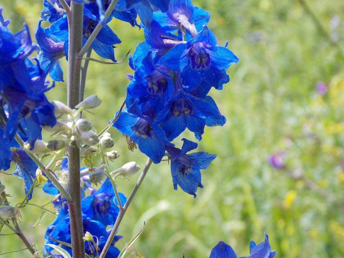 DSCN5463.JPG