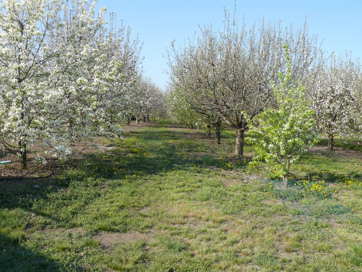 P1210535.JPG