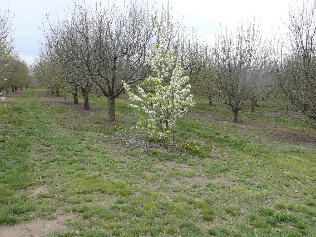 P1210473.JPG