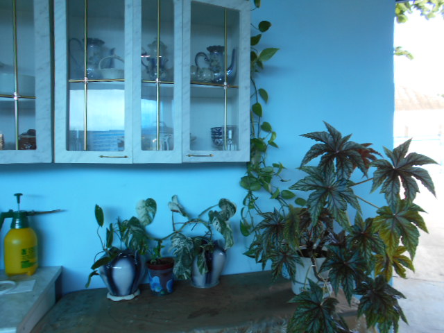 DSCN0631.JPG