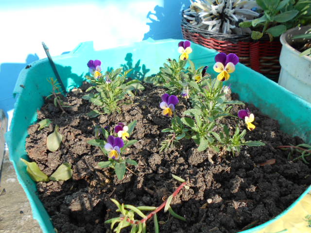 DSCN0589.JPG