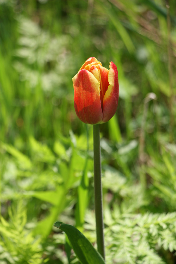 IMG_8469_sm.jpg