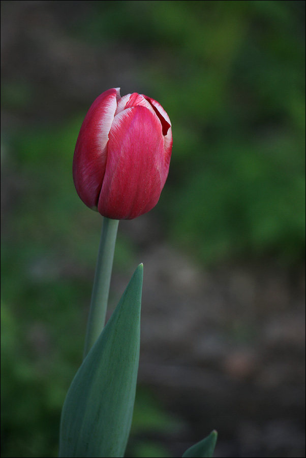 IMG_8396_sm.jpg