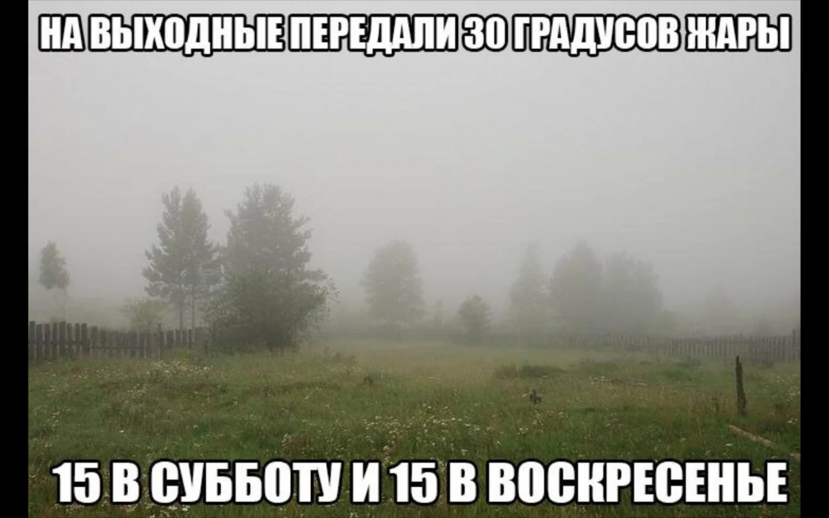 Screenshot_2021-05-13-09-38-26.png