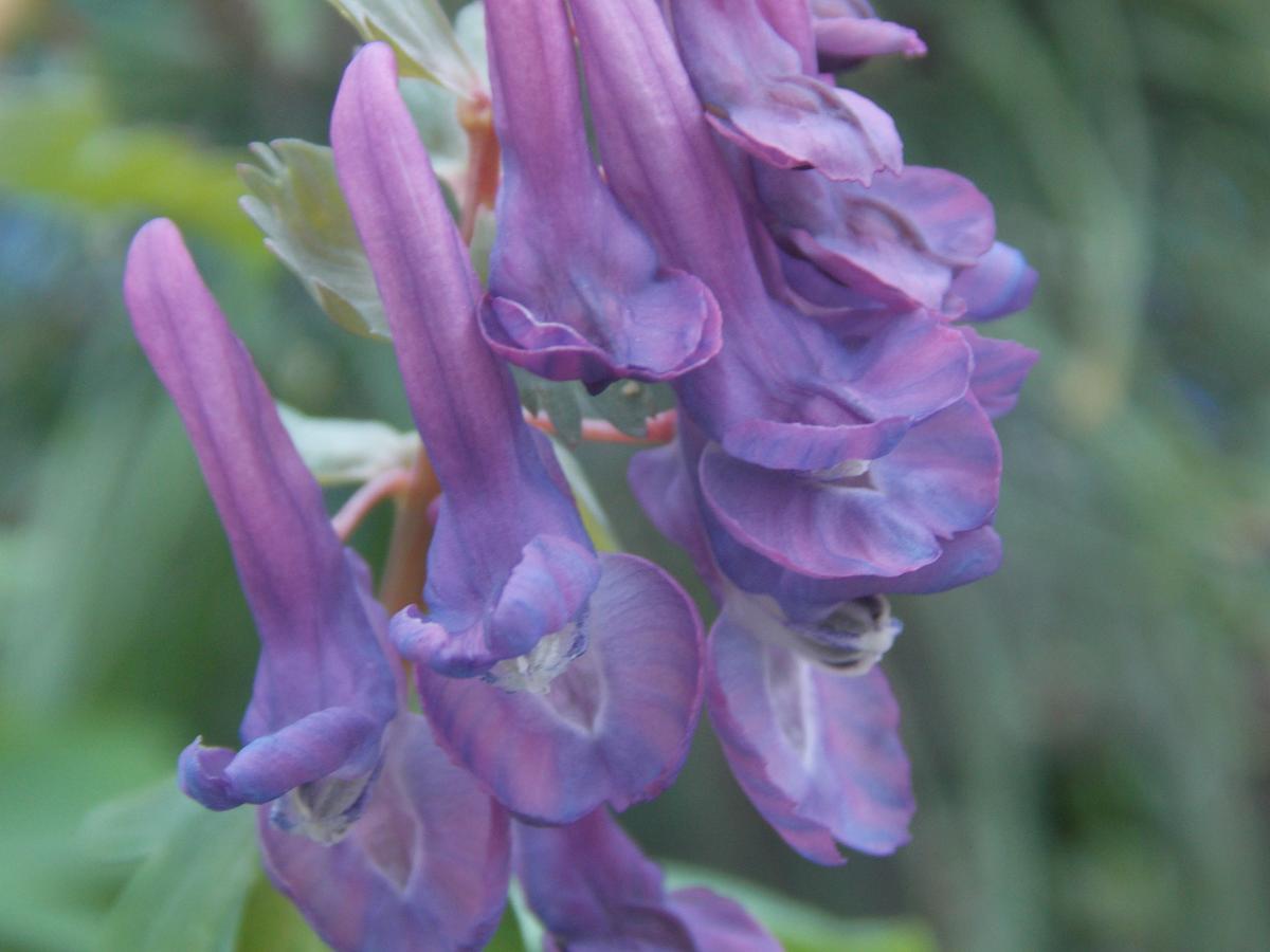 DSCN6148.JPG