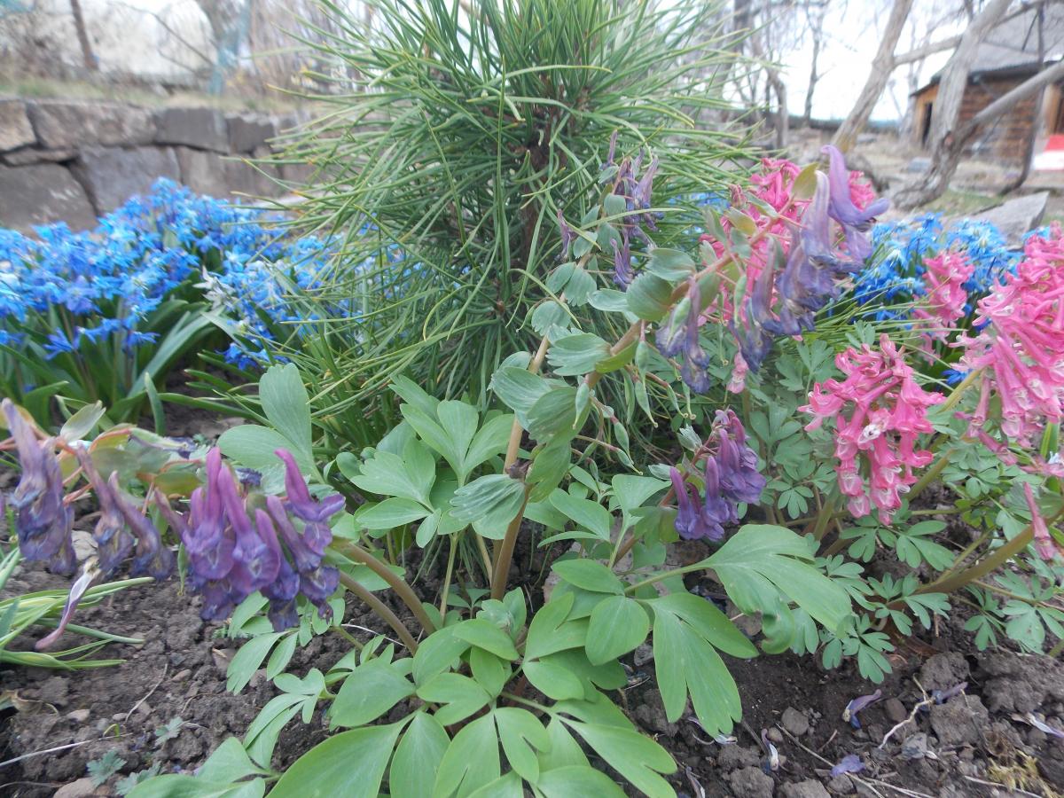 DSCN6144.JPG