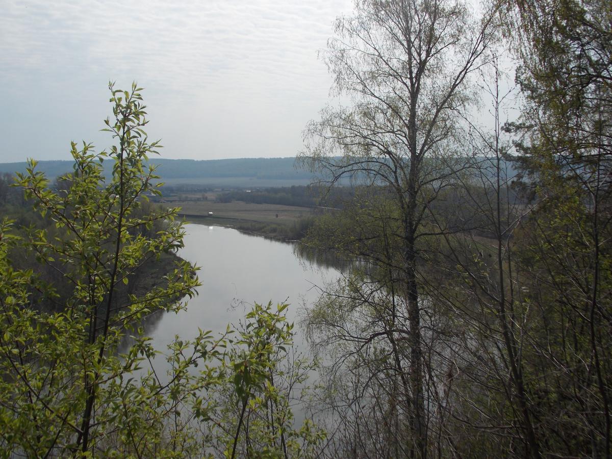 DSCN6153.JPG