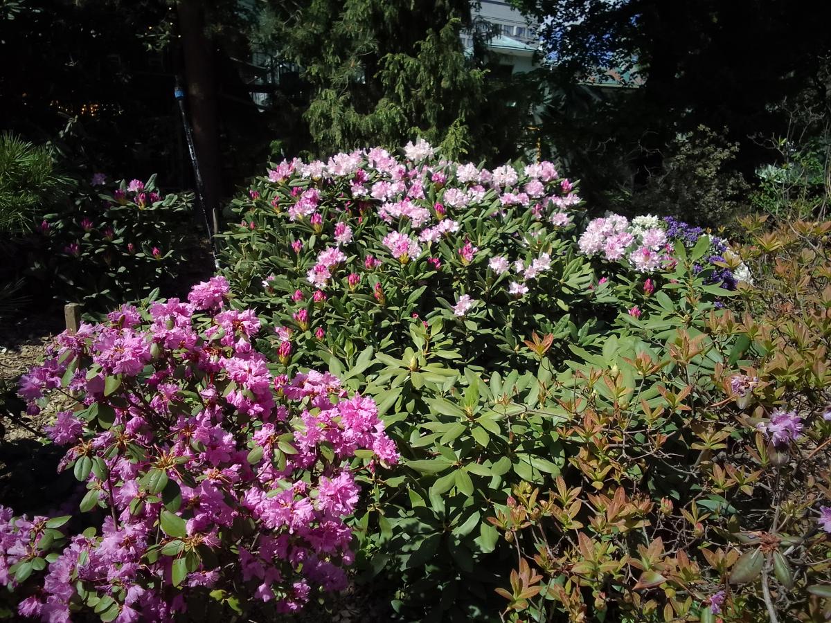 IMG_20230515_120205.jpg
