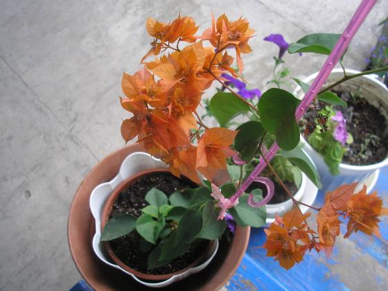 P1010302.JPG