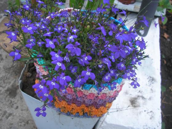P1010101.JPG
