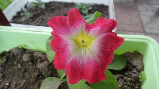 DSC00087.JPG