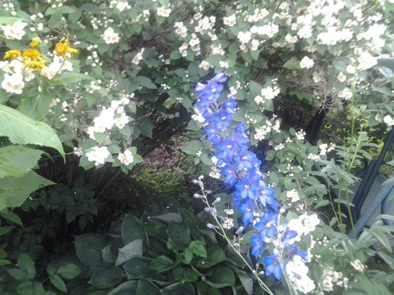 20130628_170041.jpg