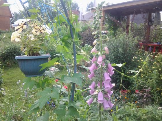 20130628_170240.jpg