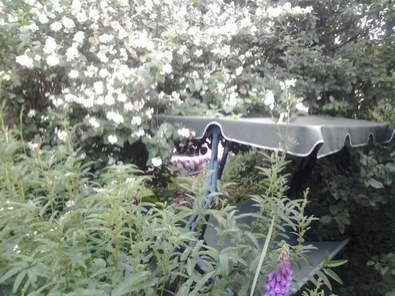 20130628_165009.jpg