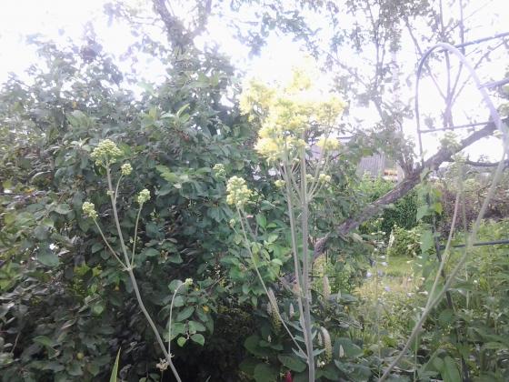 20130628_170052.jpg