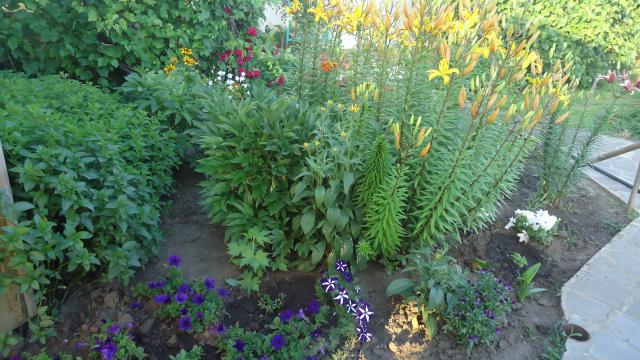 DSC04365.JPG