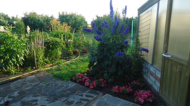DSC04366.JPG