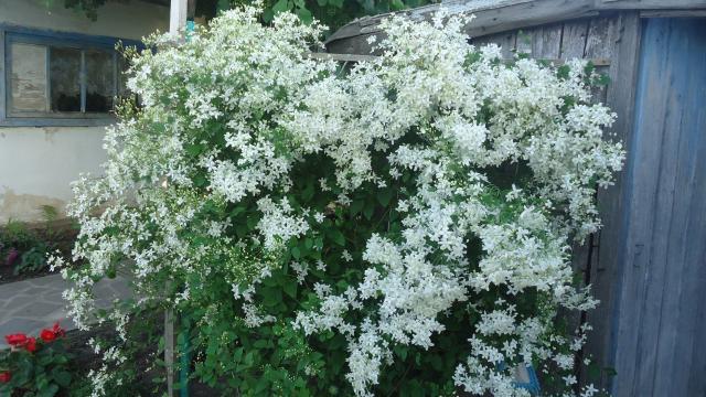 DSC04339.JPG