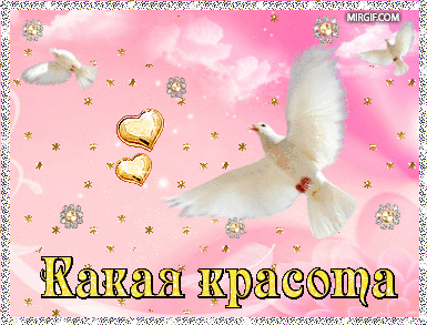 krasotiwa.gif