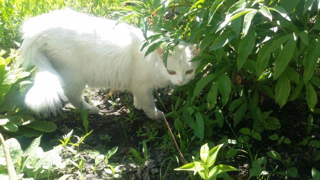 20150608_142903.jpg