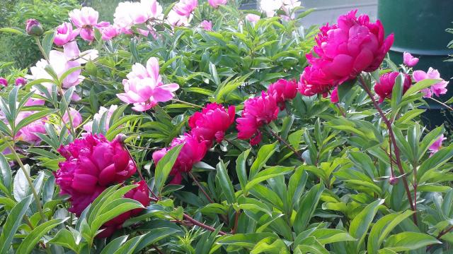20160615_170212.jpg