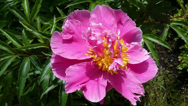 20160618_100432.jpg