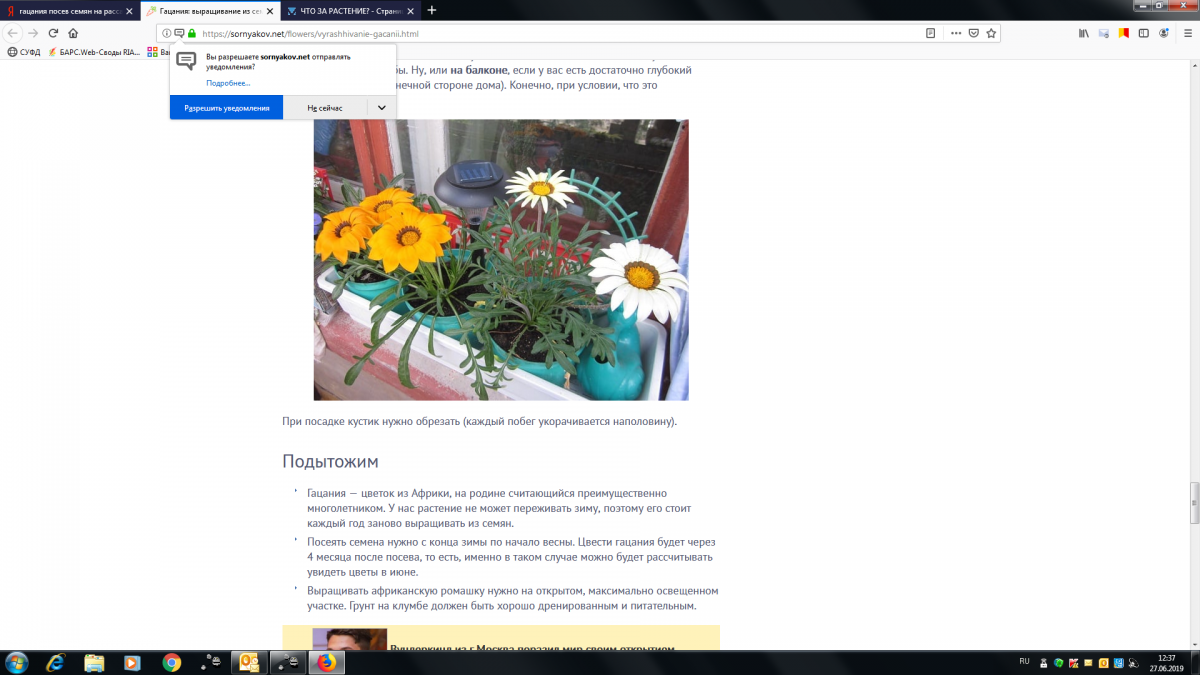 Безымянный.png