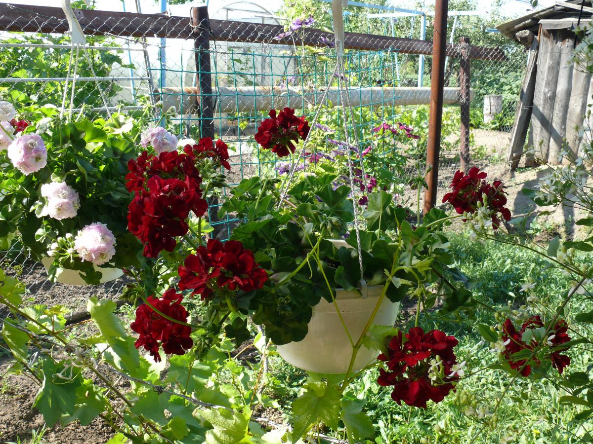 P1220150.JPG