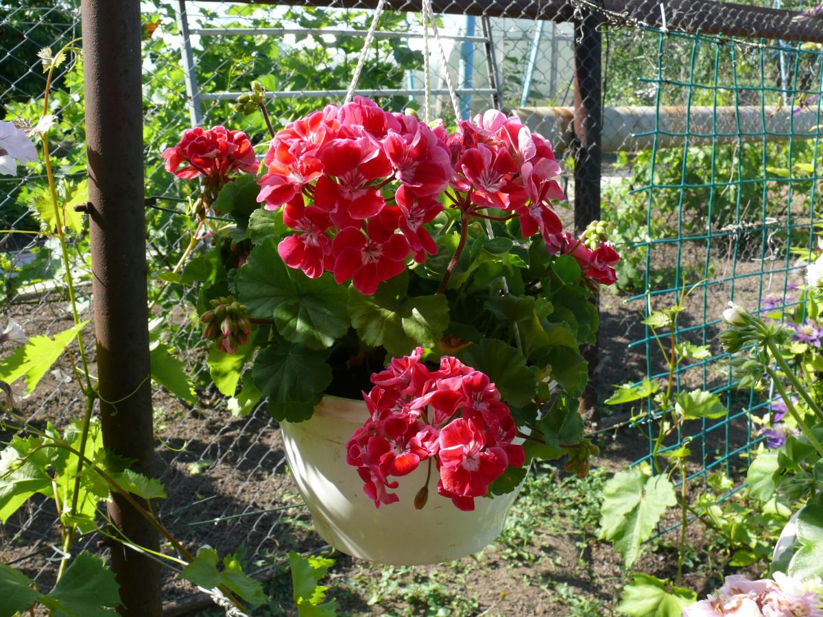 P1220152.JPG