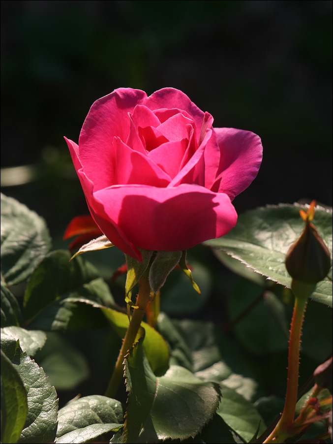 IMG_9803_sm_Джеймс_Л_Остин.jpg