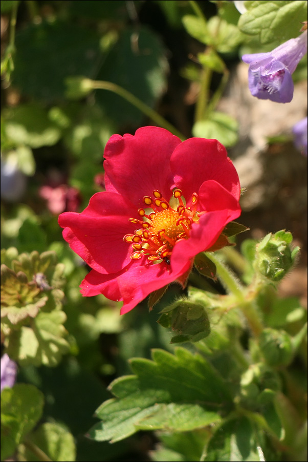 IMG_8686_sm2.jpg