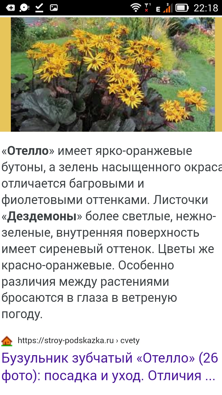 Screenshot_2021-06-02-22-18-33.jpeg