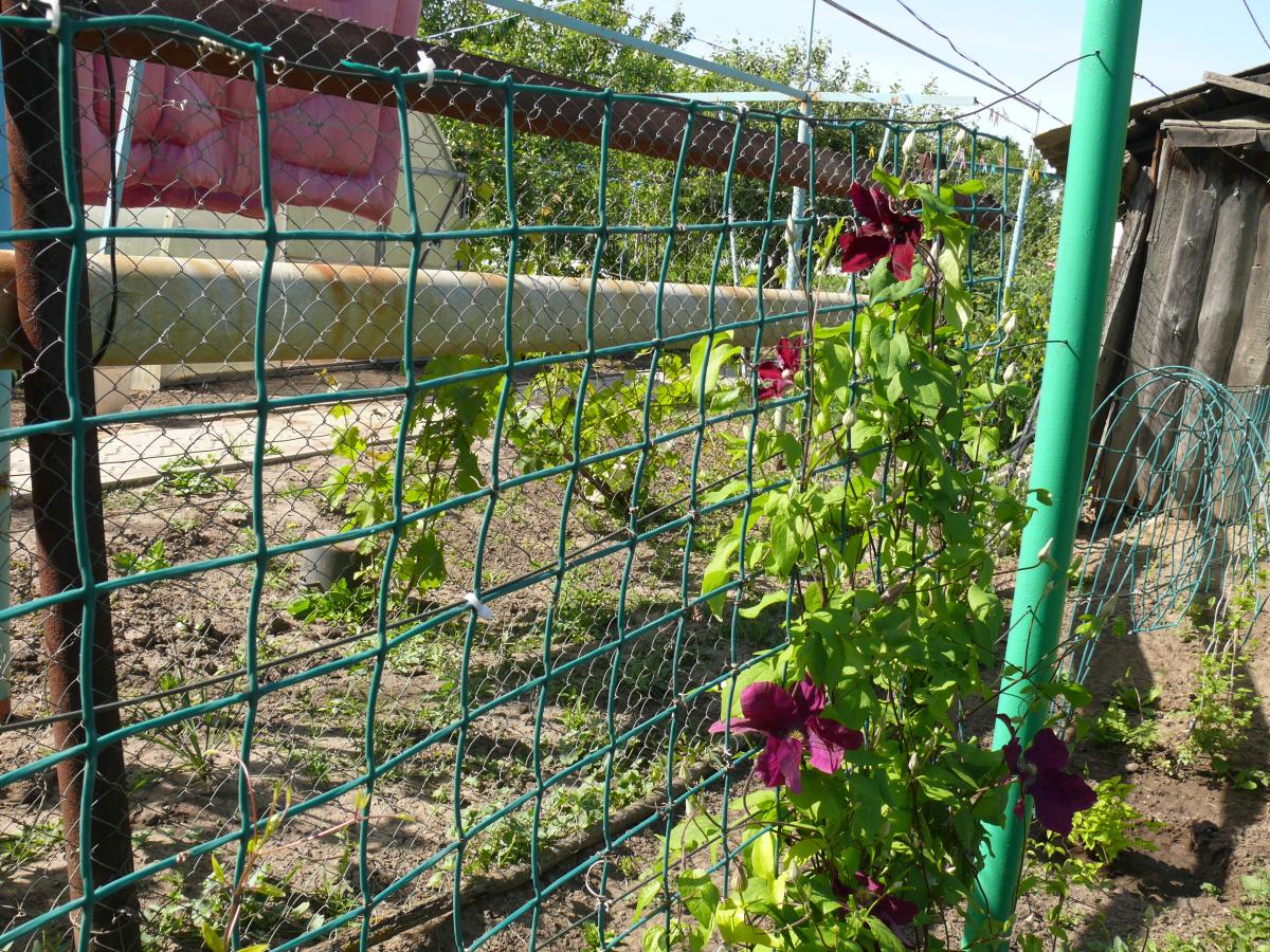 P1250679.JPG