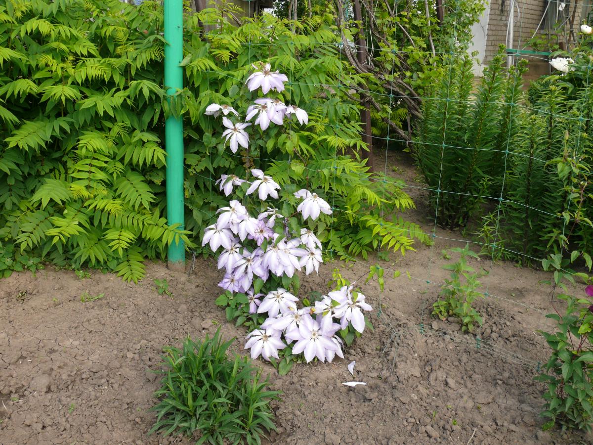 P1250636.JPG