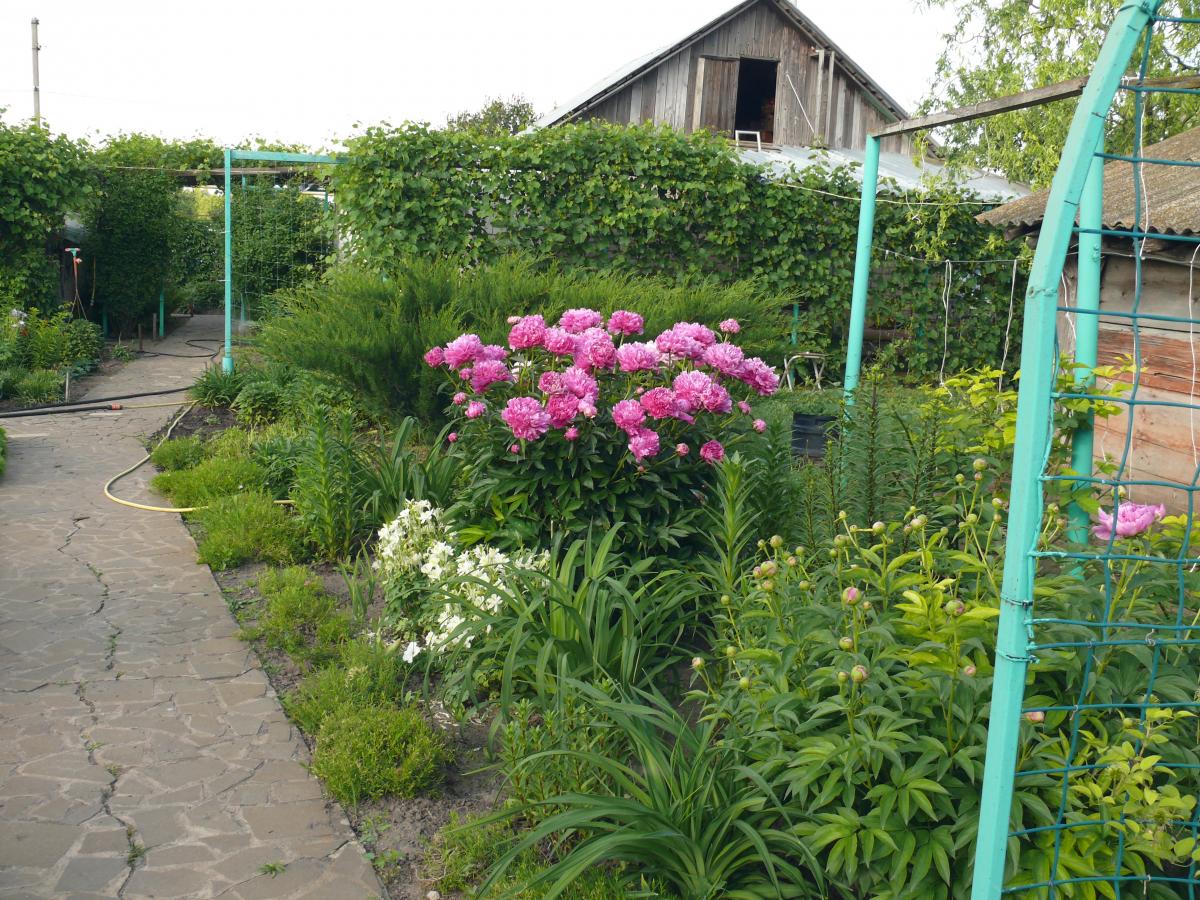 P1270191.JPG