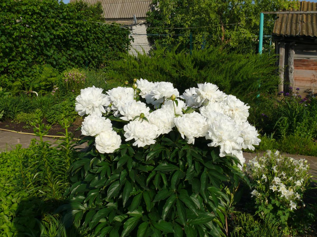 P1270179.JPG