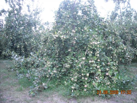 DSCN1207.JPG