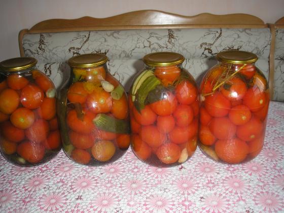 P1010055 (2).JPG